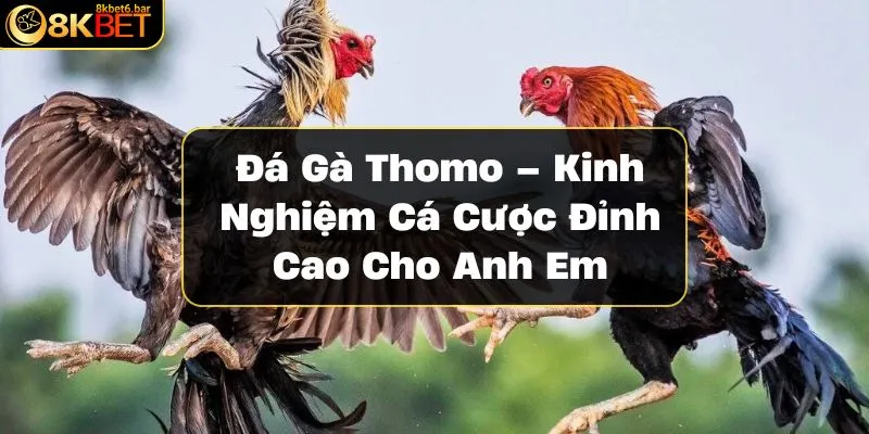 da-ga-thomo